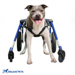Hunde Rollstuhl Quad Vierrad