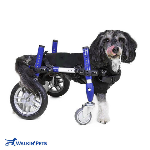 Hunde Rollstuhl Quad Vierrad S