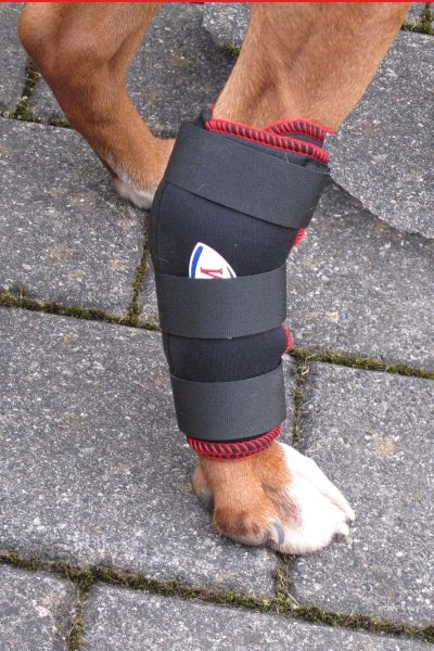 Hunde Sprunggelenkbandage Für Hinterbeine – Neopren, Verstellbar, Mit Klett, Für Verletzungen & Arthritis