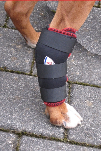 Hunde Sprunggelenkbandage Für Hintere Beine – Stützbandage Aus Neopren, Verstellbar Mit Klett