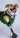 Hund mit Prothese