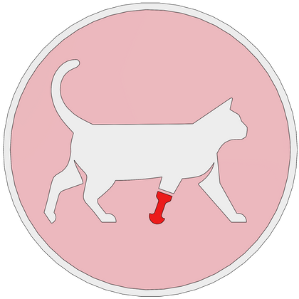 Katze