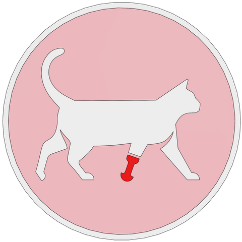 Katze