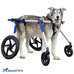 Hunde Rollstuhl Quad Vierrad