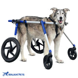 Hunde Rollstuhl Quad Vierrad