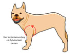 Messen_Fronteinsatz_für_Hunde_Rollstuhl_Quad_Vierrad