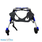 Front Neoprene Einsatz