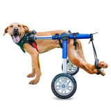 Hunde Rollstuhl