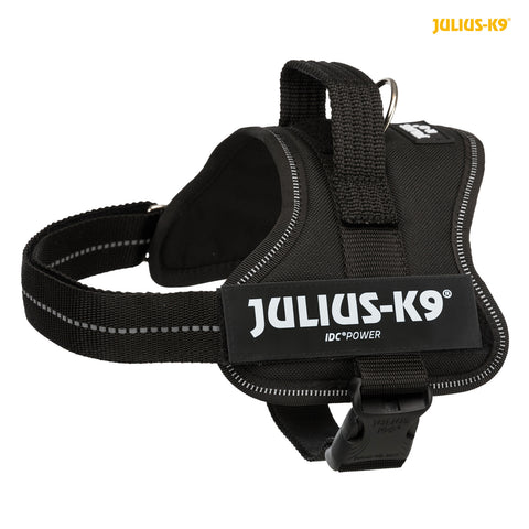 Julius-K9