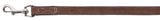 Führleiene Karabiner