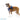 Blindenhilfe Handicapped Pets