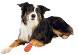 Hund mit Bitterstoffbandage