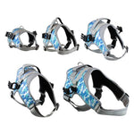 Walkin`Warrior Geschirr