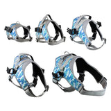 Walkin`Warrior Geschirr