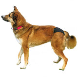 Schutzhöschen, Mesh - Material, TRIXIE